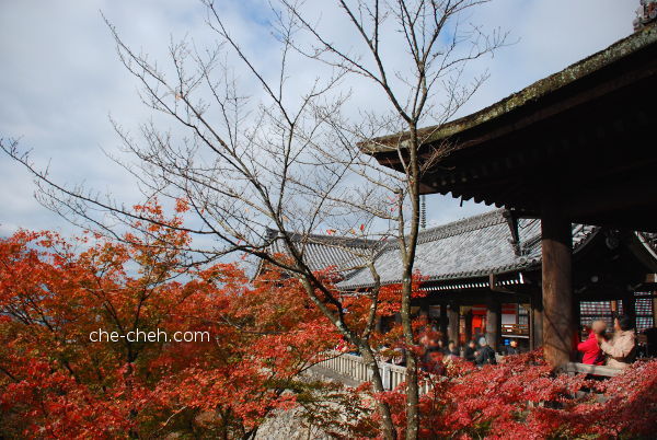 Autumn @ Kiyomizu-dera, Kyoto